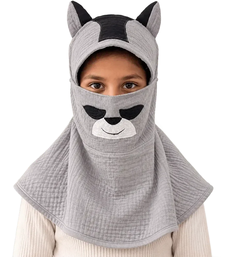 Raccoon